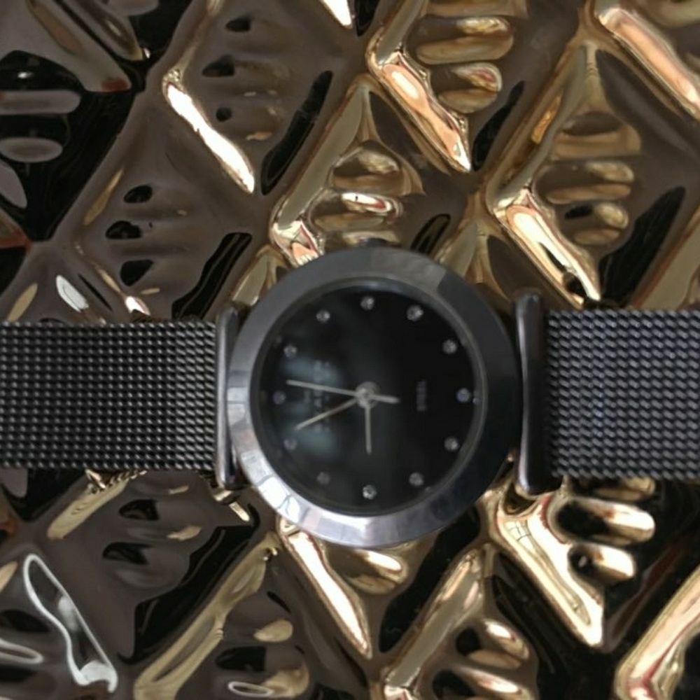 Skagen Steel Watch